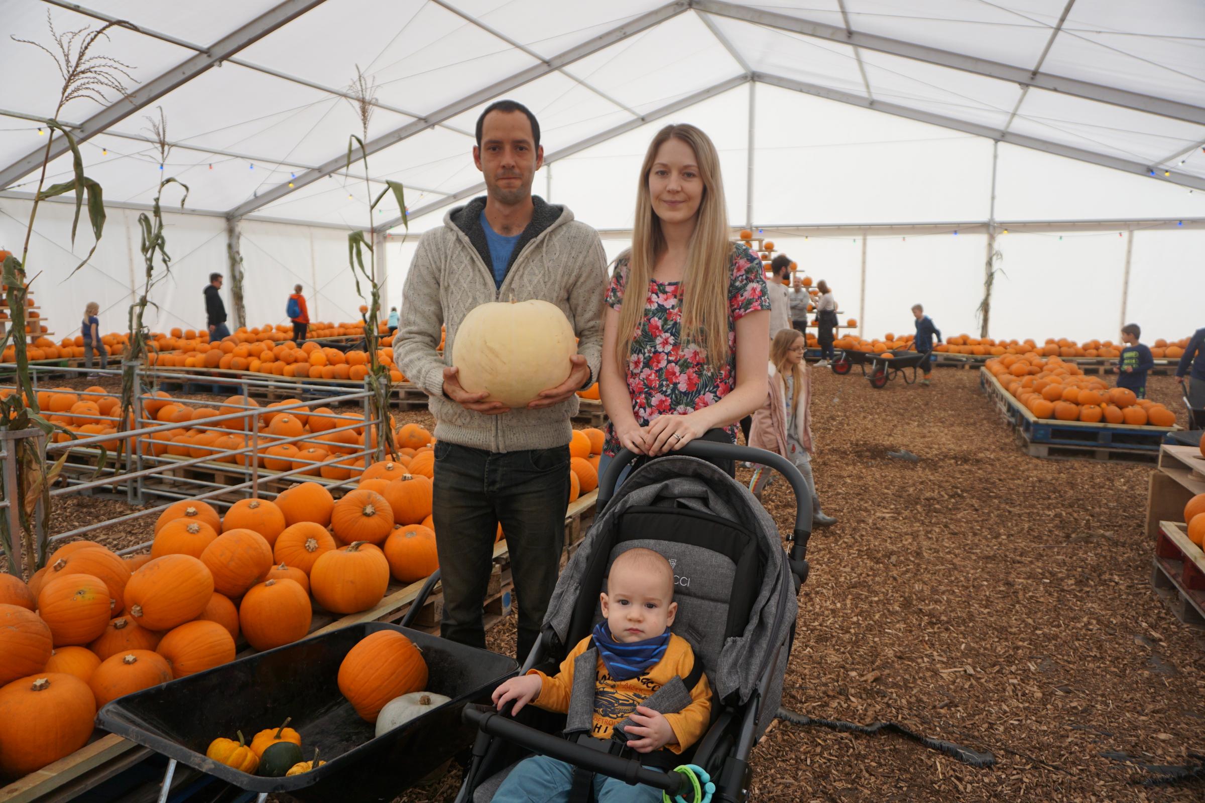 Pumpkin Festival at Sunnyfields Farm 