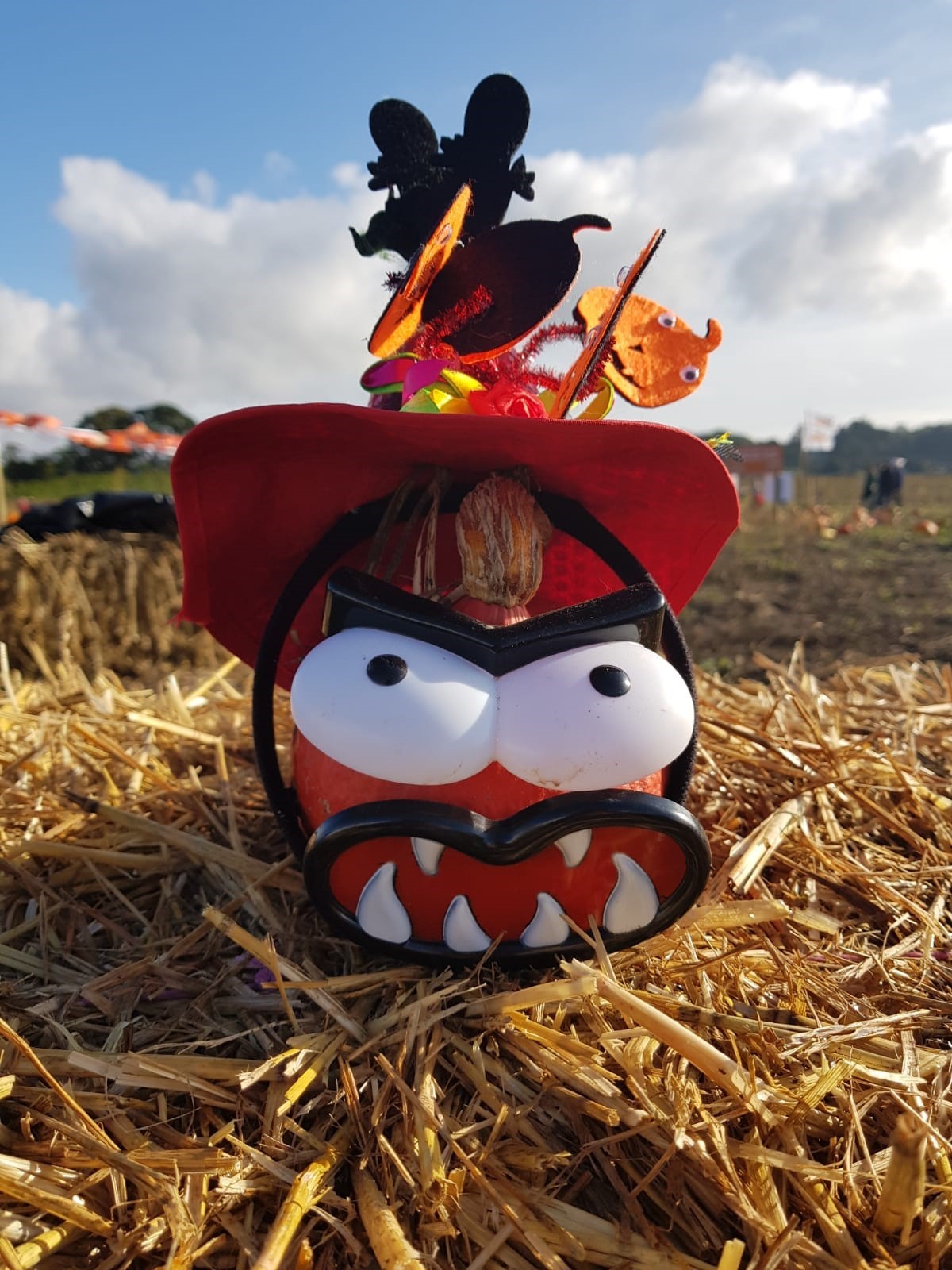 Fordingbridge Pumpkin Pastures