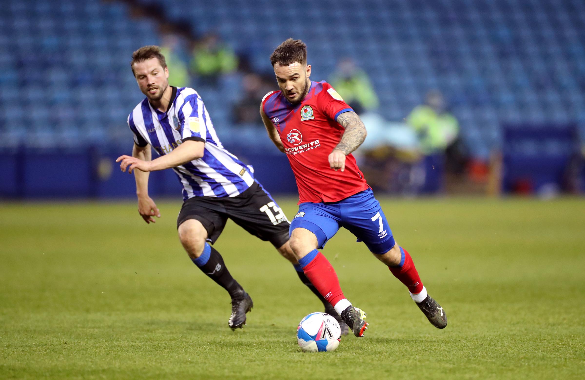 Saints Reportedly Leading The Chase For Adam Armstrong Daily Echo