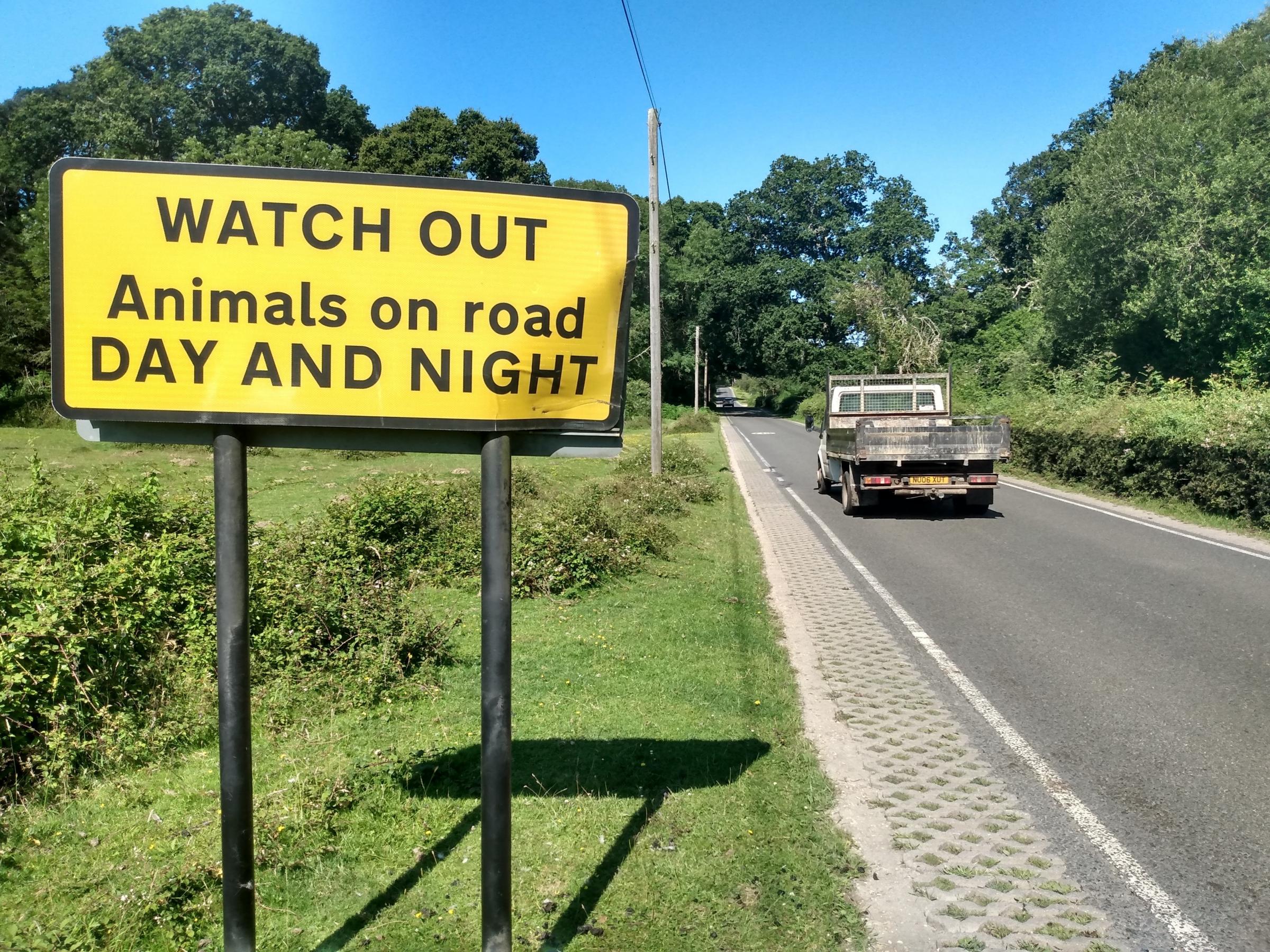 Campaigners are calling on speed cameras on Roger Penny Way, near Bramshaw.