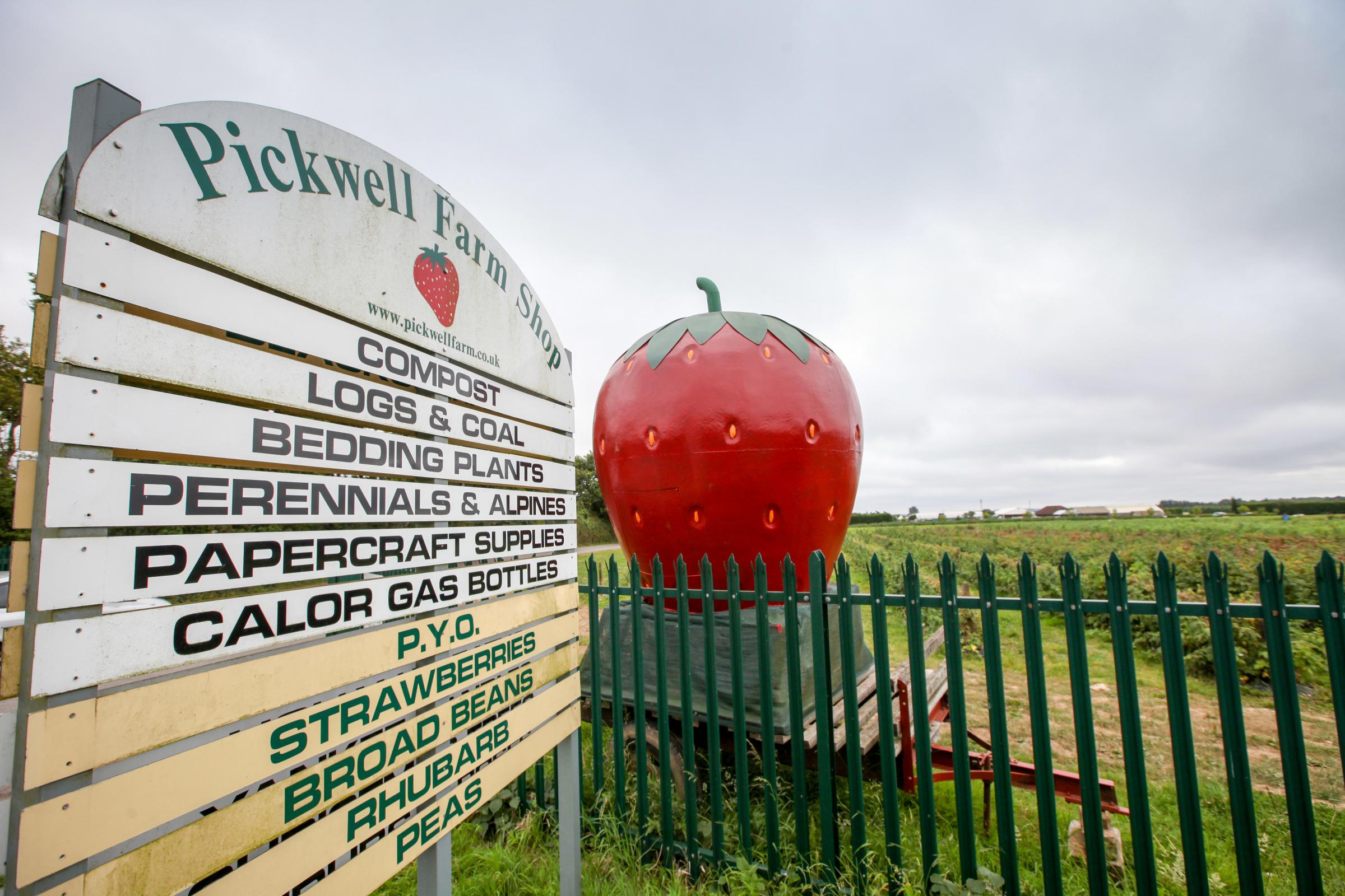 28 July 2016 - Photo Stuart Martin - Pickwell Farm in Bursledon.