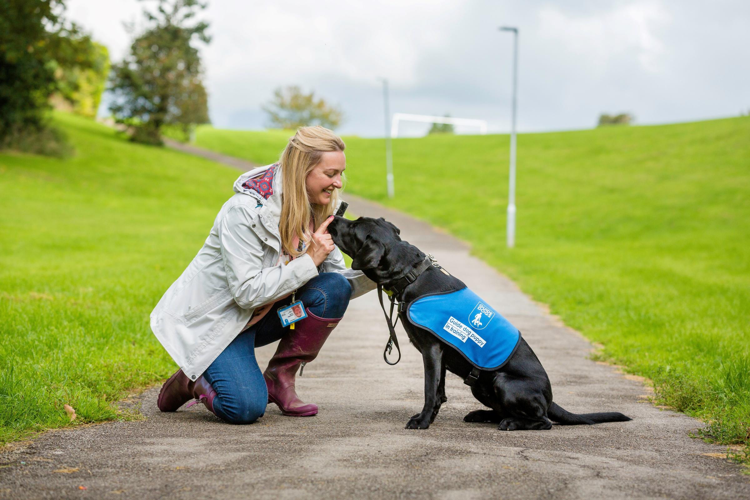 guide dog puppy walker